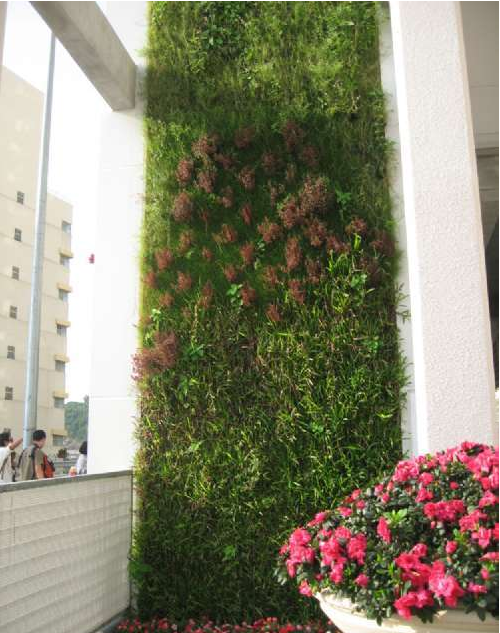 立面綠化的六種做法