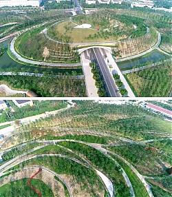 綠色建筑技術(shù)在建筑設(shè)計中優(yōu)化應(yīng)用