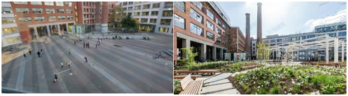 極端高溫下，如何給城市降溫？