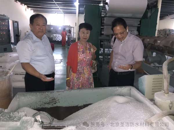 聚乙烯丙綸卷材的逆襲之路：所有的堅持終放光芒！