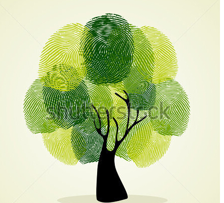 【綠建動(dòng)態(tài)】北京、重慶、浙江、廣西、江蘇