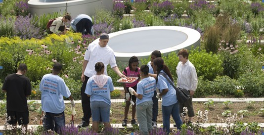 芝加哥的屋頂花園：都市農業(yè)的避風港