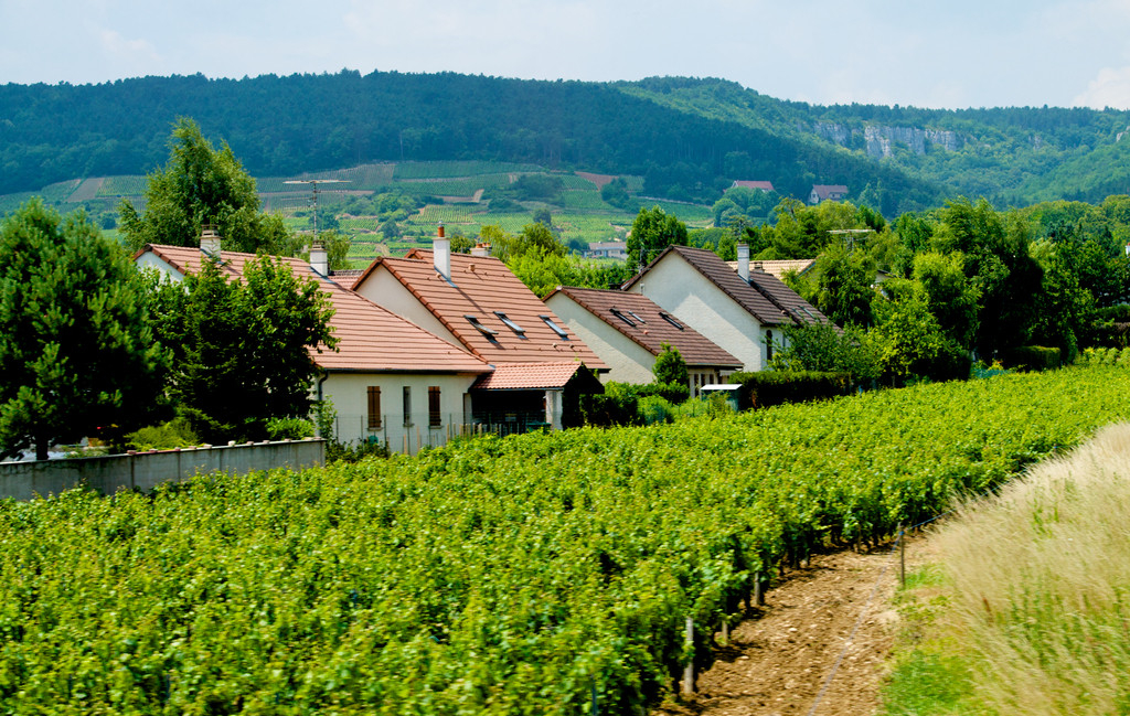 天津?qū)氎娼ǔ删G色農(nóng)居示范 十項技術(shù)環(huán)保節(jié)能