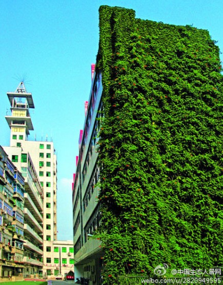 綠色建筑行業(yè)每日熱點(diǎn)微博精選（2013年12月09日）