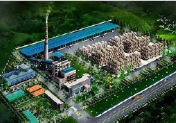 生物質(zhì)能/潮汐能 生物質(zhì)能/潮汐能