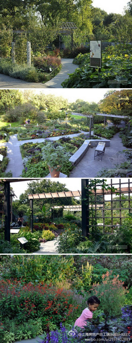 點(diǎn)擊查看原圖大小