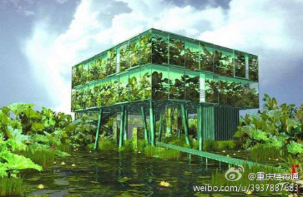 點(diǎn)擊查看原圖大小