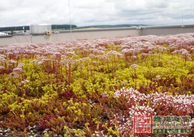 【綠建講堂】借鑒國內(nèi)外先進(jìn)經(jīng)驗(yàn)向霧霾宣戰(zhàn)——城市立體綠化治理PM2.5（12月25日綠建之窗微信群第十八期講座）