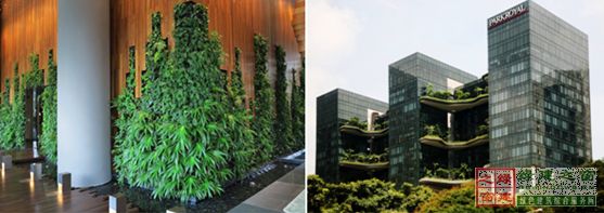 【綠建講堂】借鑒國內(nèi)外先進(jìn)經(jīng)驗(yàn)向霧霾宣戰(zhàn)——城市立體綠化治理PM2.5（12月25日綠建之窗微信群第十八期講座）