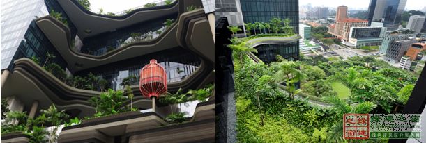 【綠建講堂】借鑒國內(nèi)外先進(jìn)經(jīng)驗(yàn)向霧霾宣戰(zhàn)——城市立體綠化治理PM2.5（12月25日綠建之窗微信群第十八期講座）