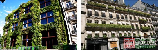 【綠建講堂】借鑒國內(nèi)外先進(jìn)經(jīng)驗(yàn)向霧霾宣戰(zhàn)——城市立體綠化治理PM2.5（12月25日綠建之窗微信群第十八期講座）