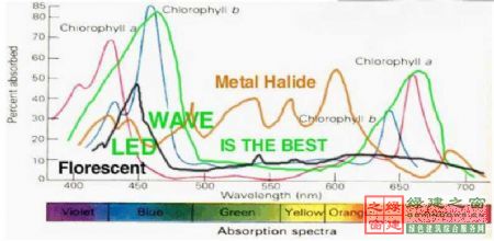 【綠建講堂】綠色照明——LED的應(yīng)用（綠建之窗微信群2015年第四期講座，總第23期）