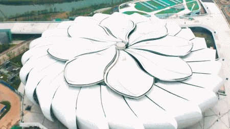 耗資11億、重達(dá)1280噸、40米高空上的“蓮花”建筑開(kāi)花了！網(wǎng)友：撲面而來(lái)的中國(guó)風(fēng)！