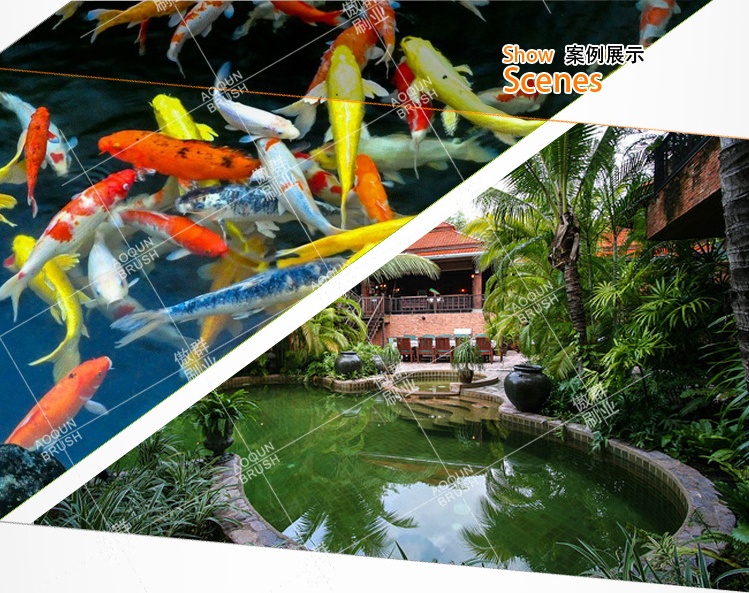 還在為選擇魚池毛刷的顏色而發(fā)愁？傲群毛刷廠家為您解答