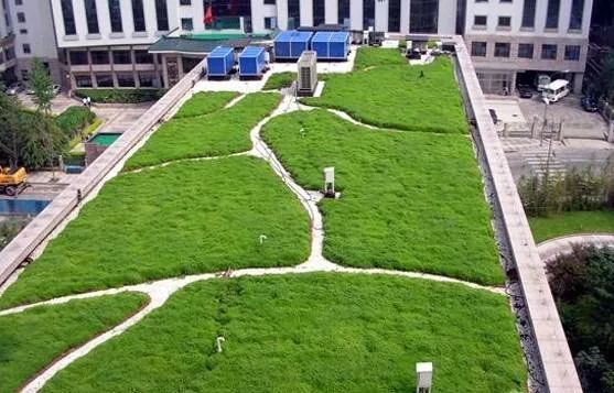 最全屋頂綠化的技術(shù)及實(shí)施要點(diǎn)