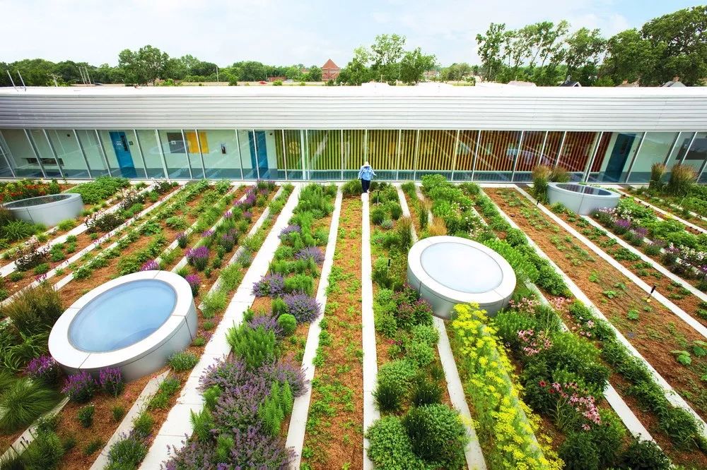 最全屋頂綠化的技術(shù)及實(shí)施要點(diǎn)