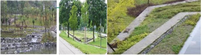 8.1.4設(shè)計利于雨水的收集或排放