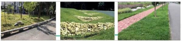 8.1.4設(shè)計利于雨水的收集或排放